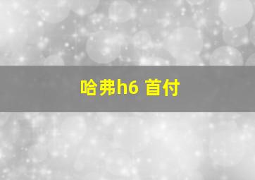 哈弗h6 首付